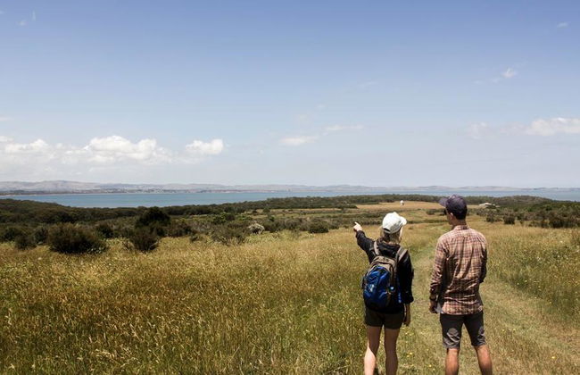 Expedição à Ilha Francesa e Ilha Phillip: Vida Selvagem - Foto 6